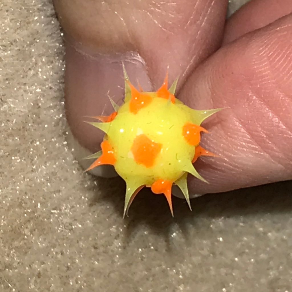 14 Gauge Yellow And Orange Silicone 8mm Tickler Design Tongue Ring 9$